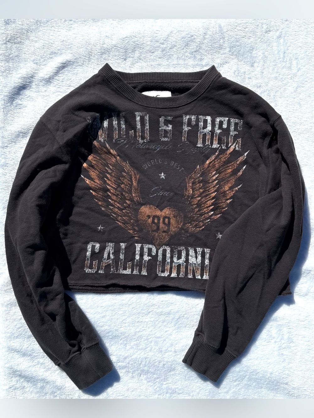 Hollister Black Sweatshirt with Metallic Bronze Wing Graphic Size Small